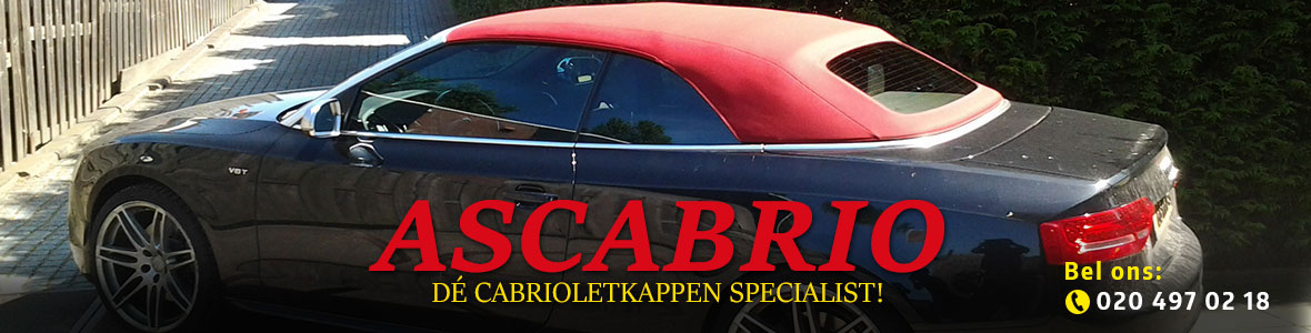 ascabrio header