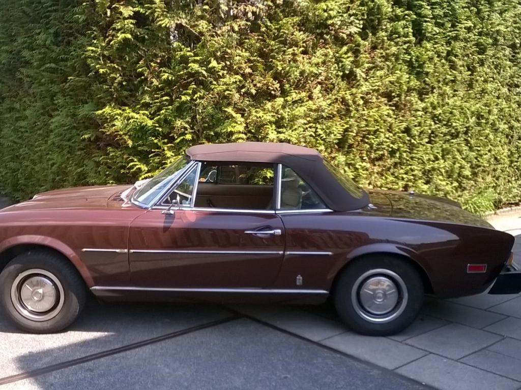 Fiat Spider Cabrio Specialist - Cabriodak